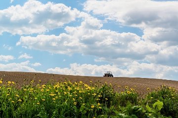 【軽減税率対応】【定期便】無農薬！新鮮京野菜セットの定期お届けコースの画像