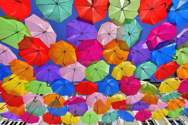 レビューテスト商品2の画像