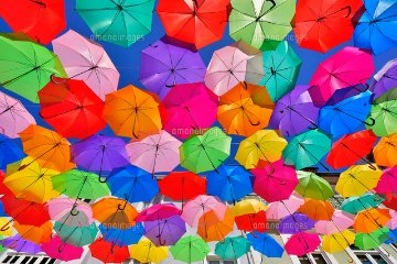 レビューテスト商品2の画像