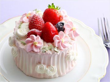 登録テストの画像