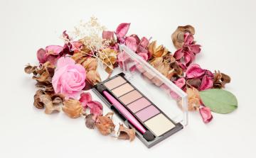 初めてのお化粧ごっこの画像